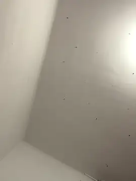 Snapshot of davidxxx099 chatting on November 2025 10:31:01 PM davidxxx099 online show from November 2025 10:31:01 PM