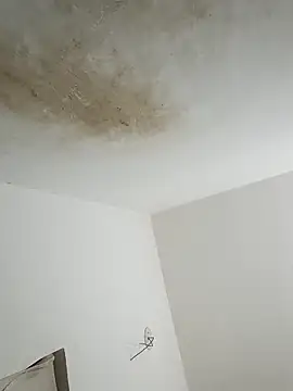 thunderrony online show from October 2025 03:09:02 PM