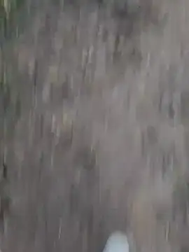 Sonia66w online show from October 2025 12:49:02 AM