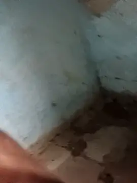 Snapshot of Sheema_tyagi chatting on November 2025 07:47:02 PM Sheema tyagi online show from November 2025 07:47:02 PM