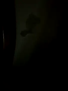 Snapshot of Bruno18cmmmmkk chatting on December 2025 03:46:02 AM Bruno18cmmmmkk online show from December 2025 03:46:02 AM