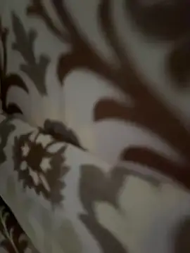 Snapshot of tran_my chatting on November 2025 05:08:02 AM tran my online show from November 2025 05:08:02 AM