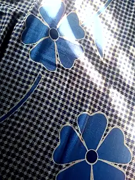 Snapshot of Renuka_GG chatting on November 2025 03:16:02 AM Renuka GG online show from November 2025 03:16:02 AM