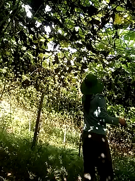 Snapshot of ngan-cute chatting on October 2025 01:30:02 AM ngan-cute online show from October 2025 01:30:02 AM