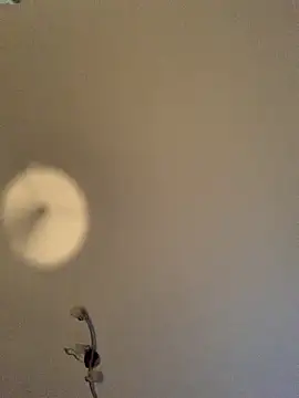 Snapshot of GeilerHSVFAN1989 chatting on November 2025 04:12:01 AM GeilerHSVFAN1989 online show from November 2025 04:12:01 AM