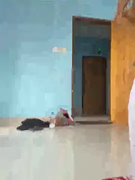 Arohi 51 online show from October 2025 03:56:02 AM