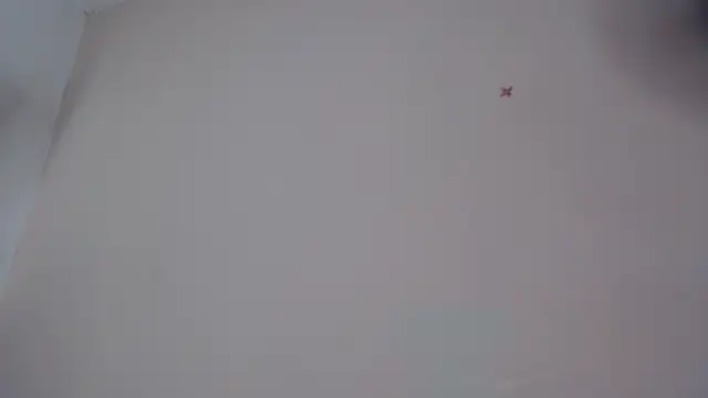 akisha lims26 online show from October 2025 01:09:02 PM