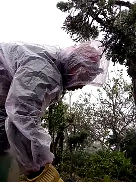 tcm-cute online show from November 2025 08:04:02 AM