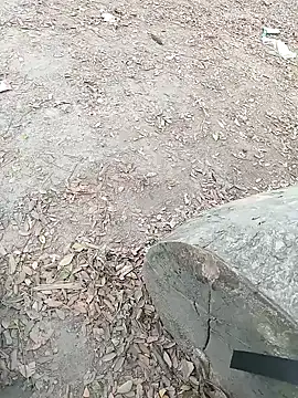 Snapshot of Dasdhon chatting on November 2025 10:20:01 AM Dasdhon online show from November 2025 10:20:01 AM