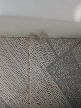 manusexyks online show from October 2025 07:55:02 AM