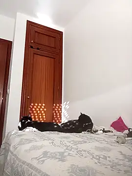 Snapshot of oscartres chatting on November 2025 03:25:02 PM oscartres online show from November 2025 03:25:02 PM