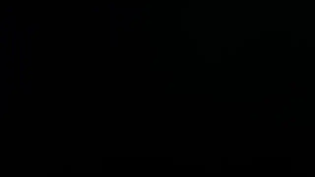 karla lopes online show from October 2025 03:43:01 PM