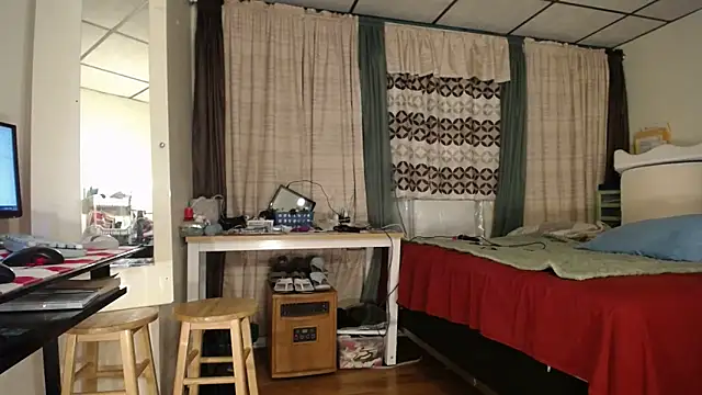 Snapshot of ANALTRAINING4U2 chatting on March 2025 05:54:01 AM ANALTRAINING4U2 online show from March 2025 05:54:01 AM