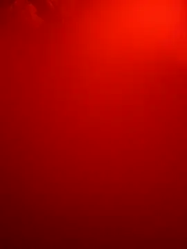 Dropdingo online show from October 2025 10:13:02 AM