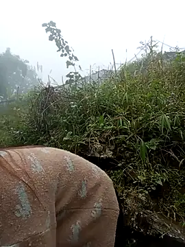 Snapshot of may-squirl chatting on October 2025 01:35:01 AM may-squirl online show from October 2025 01:35:01 AM