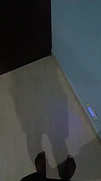 Lavanyaatelugu online show from November 2025 01:21:02 PM