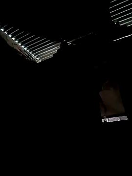 Snapshot of Gustavo1135e chatting on October 2025 11:10:01 AM Gustavo1135e online show from October 2025 11:10:01 AM