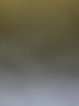 Adele Pinkk online show from October 2025 12:50:01 PM