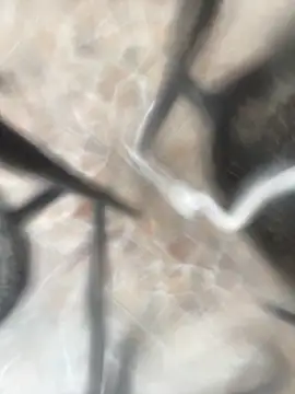 Adele Pinkk online show from October 2025 12:28:01 PM