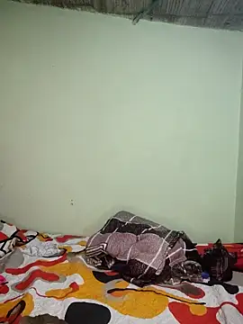 Cat Hot Party online show from December 2025 08:16:02 PM