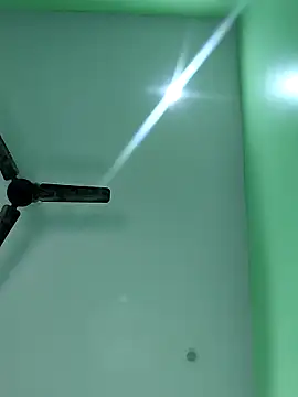 Snapshot of WildPayal chatting on November 2025 07:51:01 AM WildPayal online show from November 2025 07:51:01 AM