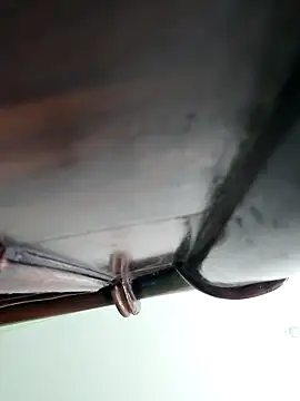 Snapshot of WildPayal chatting on November 2025 08:20:01 AM WildPayal online show from November 2025 08:20:01 AM