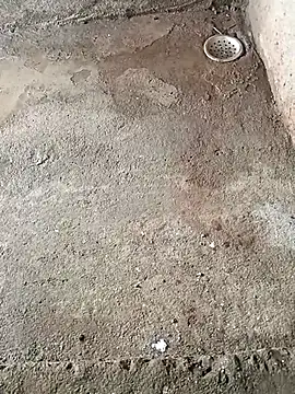 Rahul Razz online show from October 2025 01:58:02 AM