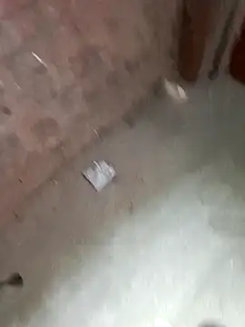 Rahul Razz online show from October 2025 01:05:02 AM