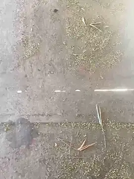 Chico031289 online show from October 2025 07:16:01 PM