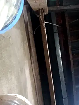 Snapshot of siki-00 chatting on October 2025 03:40:01 AM siki-00 online show from October 2025 03:40:01 AM