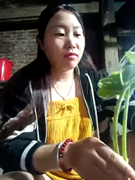 Snapshot of siki-00 chatting on October 2025 11:54:02 PM siki-00 online show from October 2025 11:54:02 PM