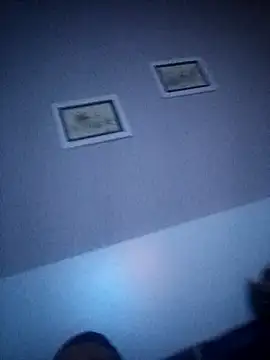 Snapshot of NiceBadgera chatting on September 2025 01:18:01 AM NiceBadgera online show from September 2025 01:18:01 AM