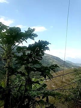 Suni2345 online show from October 2025 02:37:02 AM