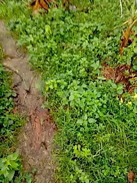 bigdaddyboy46 online show from September 2025 02:00:01 AM