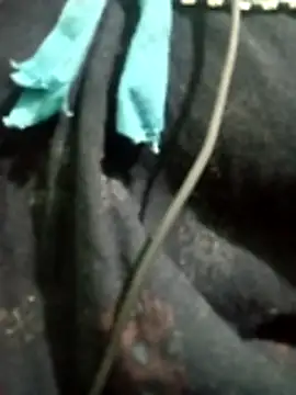 Snapshot of Telugu_hot_cpl chatting on December 2025 05:51:02 PM Telugu hot cpl online show from December 2025 05:51:02 PM