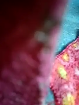 Snapshot of Sharmili_xx chatting on September 2025 08:23:02 PM Sharmili xx online show from September 2025 08:23:02 PM