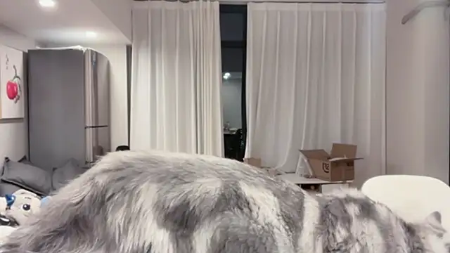 Snapshot of ZhaoZhao-ZM chatting on October 2025 02:15:01 PM ZhaoZhao-ZM online show from October 2025 02:15:01 PM