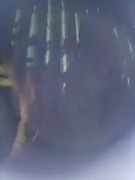 8133vaibhavh online show from October 2025 02:48:01 PM