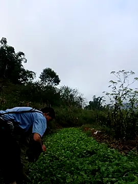 kemtuoi-sex online show from October 2025 01:13:01 AM