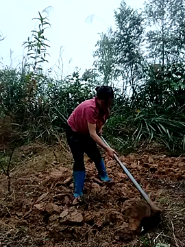 kemtuoi-sex online show from October 2025 08:37:01 AM