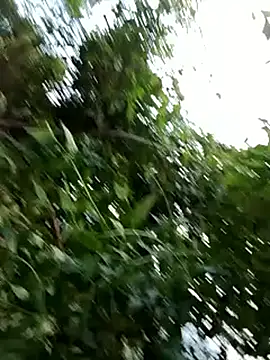 -Xuka-200 online show from October 2025 09:54:01 AM