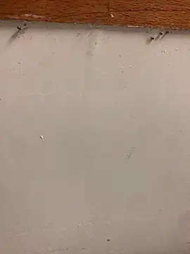 99-JOJO online show from November 2025 10:26:02 AM