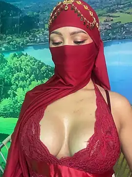 Snapshot of _hafsa_ chatting on November 2025 11:22:02 AM hafsa online show from November 2025 11:22:02 AM