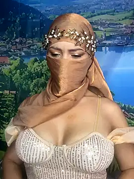 Snapshot of _hafsa_ chatting on November 2025 11:32:02 AM hafsa online show from November 2025 11:32:02 AM