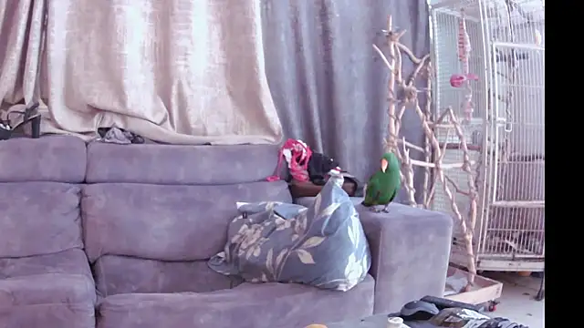 Snapshot of Alexis21821 chatting on November 2025 07:18:02 AM Alexis21821 online show from November 2025 07:18:02 AM