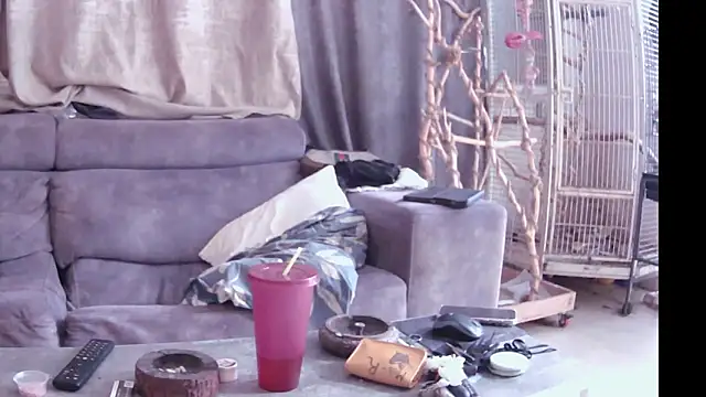 Snapshot of Alexis21821 chatting on November 2025 10:47:01 AM Alexis21821 online show from November 2025 10:47:01 AM