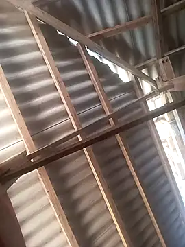 Vuong x online show from November 2025 08:03:02 AM