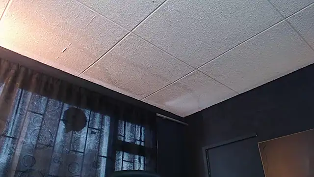 RichardMilleer online show from October 2025 02:07:01 PM