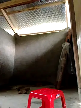 Snapshot of donna-bae chatting on October 2025 03:58:02 AM donna-bae online show from October 2025 03:58:02 AM