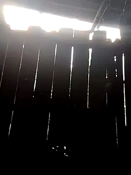 Snapshot of donna-bae chatting on October 2025 11:04:02 PM donna-bae online show from October 2025 11:04:02 PM